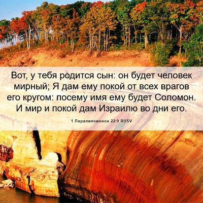 Picture 06 - 1 Паралипоменон 22:9 RUSV - Вот, у тебя родится сын: он - Bible Verse Picture