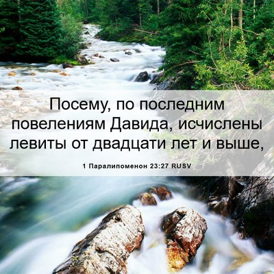 Picture 06 - 1 Паралипоменон 23:27 RUSV - Посему, по последним - Bible Verse Picture