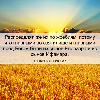 Picture 06 - 1 Паралипоменон 24:5 RUSV - Распределял же их по - Bible Verse Picture