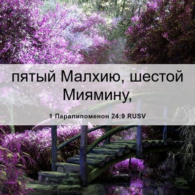 Picture 06 - 1 Паралипоменон 24:9 RUSV - пятый Малхию, шестой - Bible Verse Picture