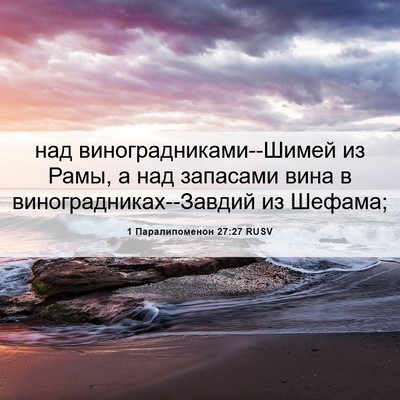 Picture 06 - 1 Паралипоменон 27:27 RUSV - над виноградниками--Шимей - Bible Verse Picture