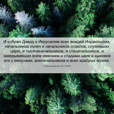 Picture 06 - 1 Паралипоменон 28:1 RUSV - И собрал Давид в Иерусалим - Bible Verse Picture