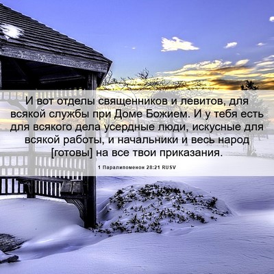 Picture 06 - 1 Паралипоменон 28:21 RUSV - И вот отделы священников и - Bible Verse Picture