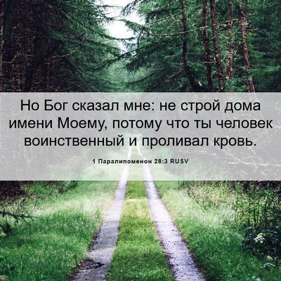Picture 06 - 1 Паралипоменон 28:3 RUSV - Но Бог сказал мне: не строй - Bible Verse Picture
