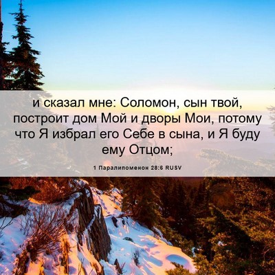 Picture 06 - 1 Паралипоменон 28:6 RUSV - и сказал мне: Соломон, сын - Bible Verse Picture