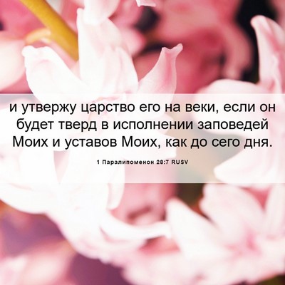 Picture 06 - 1 Паралипоменон 28:7 RUSV - и утвержу царство его на - Bible Verse Picture