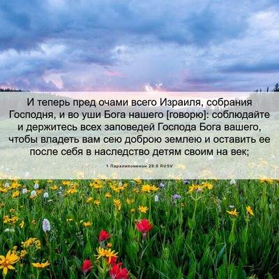 Picture 06 - 1 Паралипоменон 28:8 RUSV - И теперь пред очами всего - Bible Verse Picture