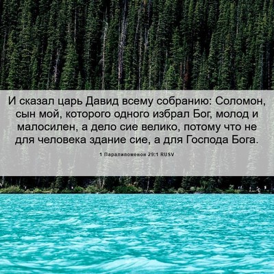 Picture 06 - 1 Паралипоменон 29:1 RUSV - И сказал царь Давид всему - Bible Verse Picture