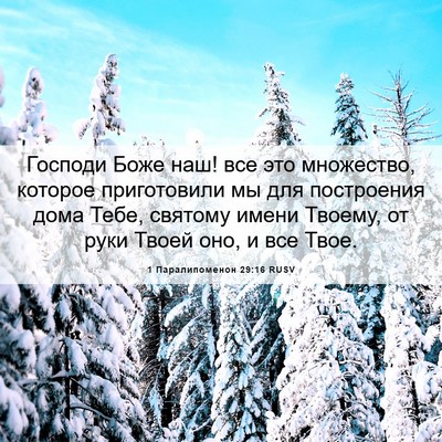 Picture 06 - 1 Паралипоменон 29:16 RUSV - Господи Боже наш! все это - Bible Verse Picture