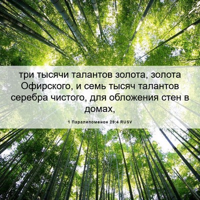 Picture 06 - 1 Паралипоменон 29:4 RUSV - три тысячи талантов - Bible Verse Picture