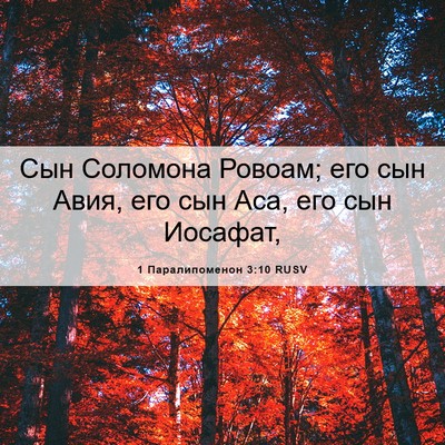 Picture 06 - 1 Паралипоменон 3:10 RUSV - Сын Соломона Ровоам; его - Bible Verse Picture