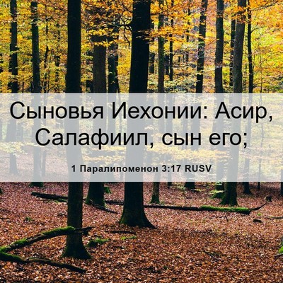 Picture 06 - 1 Паралипоменон 3:17 RUSV - Сыновья Иехонии: Асир, - Bible Verse Picture