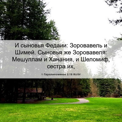 Picture 06 - 1 Паралипоменон 3:19 RUSV - И сыновья Федаии: - Bible Verse Picture