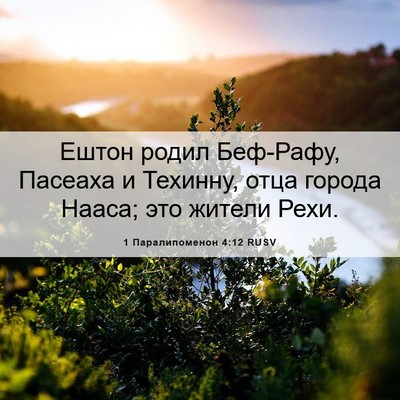 Picture 06 - 1 Паралипоменон 4:12 RUSV - Ештон родил Беф-Рафу, - Bible Verse Picture
