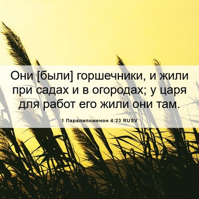 Picture 06 - 1 Паралипоменон 4:23 RUSV - Они [были] горшечники, и - Bible Verse Picture