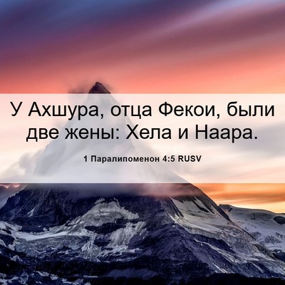 Picture 06 - 1 Паралипоменон 4:5 RUSV - У Ахшура, отца Фекои, были - Bible Verse Picture