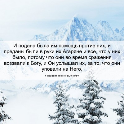 Picture 06 - 1 Паралипоменон 5:20 RUSV - И подана была им помощь - Bible Verse Picture