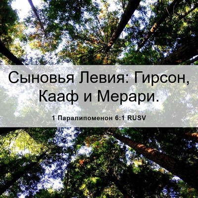 Picture 06 - 1 Паралипоменон 6:1 RUSV - Сыновья Левия: Гирсон, Кааф - Bible Verse Picture