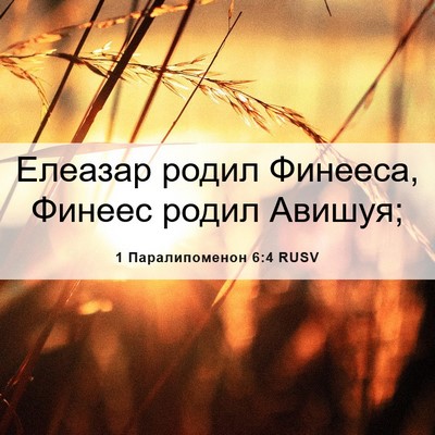 Picture 06 - 1 Паралипоменон 6:4 RUSV - Елеазар родил Финееса, - Bible Verse Picture