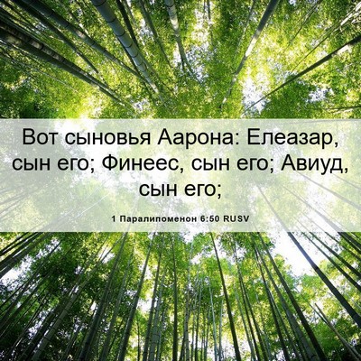 Picture 06 - 1 Паралипоменон 6:50 RUSV - Вот сыновья Аарона: - Bible Verse Picture
