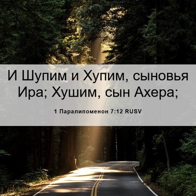 Picture 06 - 1 Паралипоменон 7:12 RUSV - И Шупим и Хупим, сыновья - Bible Verse Picture