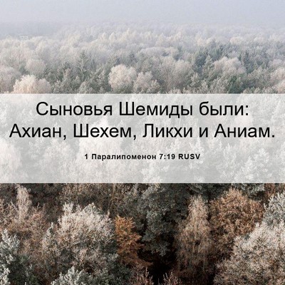 Picture 06 - 1 Паралипоменон 7:19 RUSV - Сыновья Шемиды были: Ахиан, - Bible Verse Picture