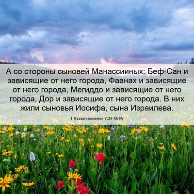 Picture 06 - 1 Паралипоменон 7:29 RUSV - А со стороны сыновей - Bible Verse Picture