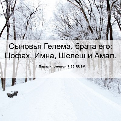 Picture 06 - 1 Паралипоменон 7:35 RUSV - Сыновья Гелема, брата его: - Bible Verse Picture