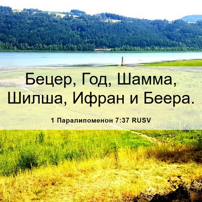 Picture 06 - 1 Паралипоменон 7:37 RUSV - Бецер, Год, Шамма, Шилша, - Bible Verse Picture