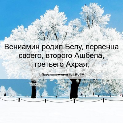 Picture 06 - 1 Паралипоменон 8:1 RUSV - Вениамин родил Белу, - Bible Verse Picture