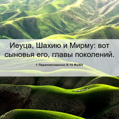 Picture 06 - 1 Паралипоменон 8:10 RUSV - Иеуца, Шахию и Мирму: вот - Bible Verse Picture