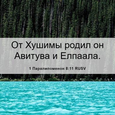 Picture 06 - 1 Паралипоменон 8:11 RUSV - От Хушимы родил он Авитува - Bible Verse Picture