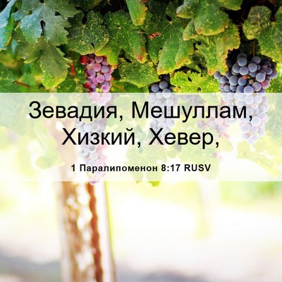 Picture 06 - 1 Паралипоменон 8:17 RUSV - Зевадия, Мешуллам, Хизкий, - Bible Verse Picture