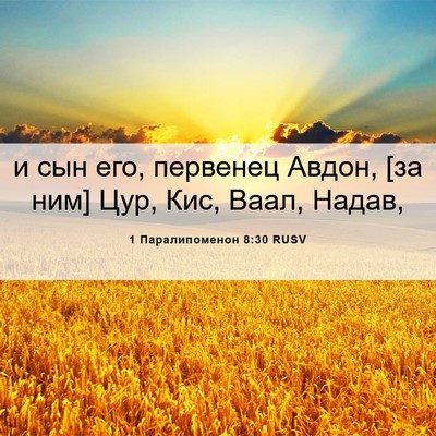 Picture 06 - 1 Паралипоменон 8:30 RUSV - и сын его, первенец Авдон, - Bible Verse Picture