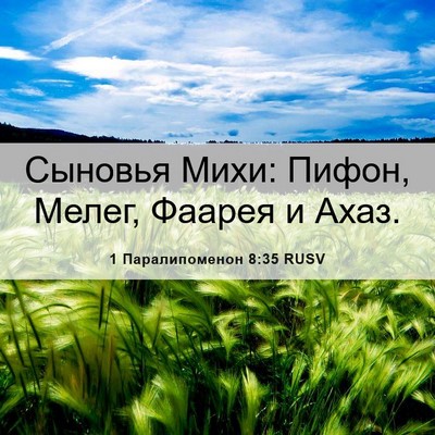 Picture 06 - 1 Паралипоменон 8:35 RUSV - Сыновья Михи: Пифон, Мелег, - Bible Verse Picture