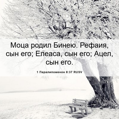 Picture 06 - 1 Паралипоменон 8:37 RUSV - Моца родил Бинею. Рефаия, - Bible Verse Picture