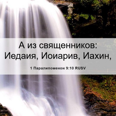 Picture 06 - 1 Паралипоменон 9:10 RUSV - А из священников: Иедаия, - Bible Verse Picture