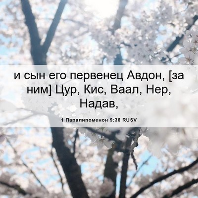 Picture 06 - 1 Паралипоменон 9:36 RUSV - и сын его первенец Авдон, - Bible Verse Picture