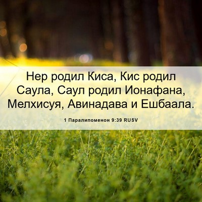 Picture 06 - 1 Паралипоменон 9:39 RUSV - Нер родил Киса, Кис родил - Bible Verse Picture