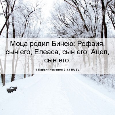 Picture 06 - 1 Паралипоменон 9:43 RUSV - Моца родил Бинею: Рефаия, - Bible Verse Picture