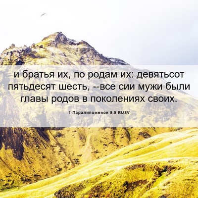 Picture 06 - 1 Паралипоменон 9:9 RUSV - и братья их, по родам их: - Bible Verse Picture