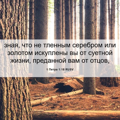 Picture 06 - 1 Петра 1:18 RUSV - зная, что не тленным - Bible Verse Picture
