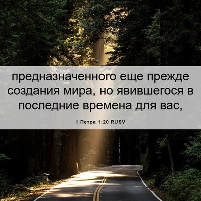 Picture 06 - 1 Петра 1:20 RUSV - предназначенного еще - Bible Verse Picture
