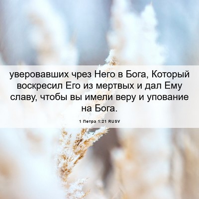 Picture 06 - 1 Петра 1:21 RUSV - уверовавших чрез Него в - Bible Verse Picture