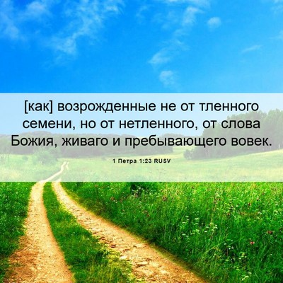 Picture 06 - 1 Петра 1:23 RUSV - [как] возрожденные не от - Bible Verse Picture