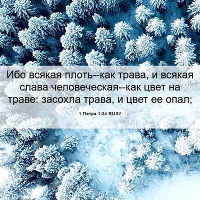 Picture 06 - 1 Петра 1:24 RUSV - Ибо всякая плоть--как - Bible Verse Picture