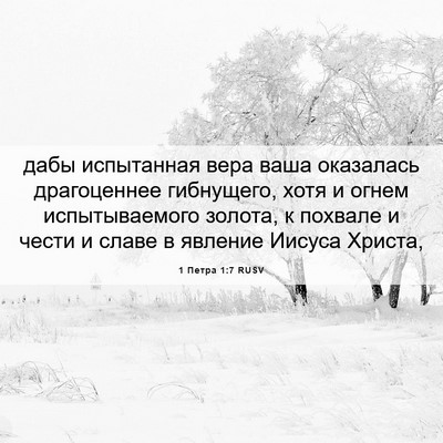 Picture 06 - 1 Петра 1:7 RUSV - дабы испытанная вера ваша - Bible Verse Picture