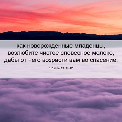 Picture 06 - 1 Петра 2:2 RUSV - как новорожденные - Bible Verse Picture