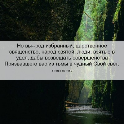Picture 06 - 1 Петра 2:9 RUSV - Но вы--род избранный, - Bible Verse Picture