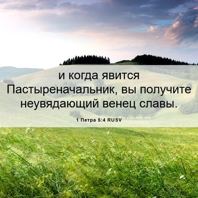 Picture 06 - 1 Петра 5:4 RUSV - и когда явится - Bible Verse Picture